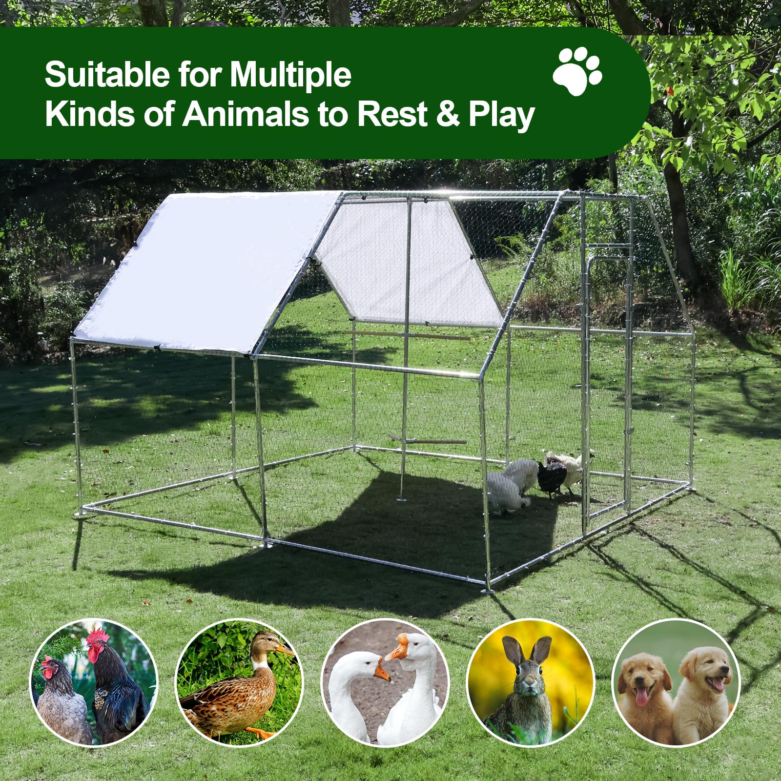 Premium Large Metal Chicken Coop with Climbing Frame - 118