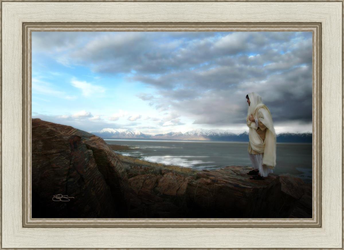 Alone Shepherd Book by Scott Sumner - Inspirational Christian Fiction for Personal Growth & Faith Journey | Perfect for Book Clubs, Bible Study Groups & Quiet Reflection Time