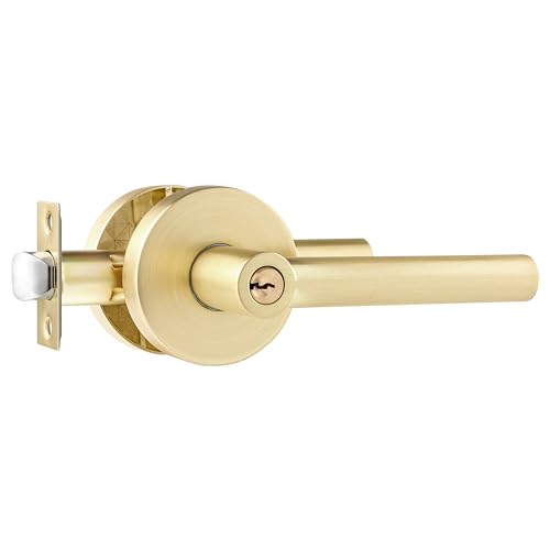 Entry Door Lever with Keys(Keyed Alike)
