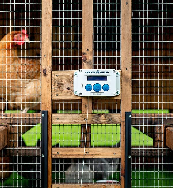 ChickenGuard Standard Automatic Chicken Coop Door Opener with Timer - Secure & Convenient Poultry Access for Day/Night Protection | Perfect for Backyard Farms, Homesteads & Chicken Keepers