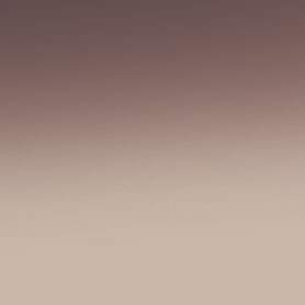 Brown Gradient Tint