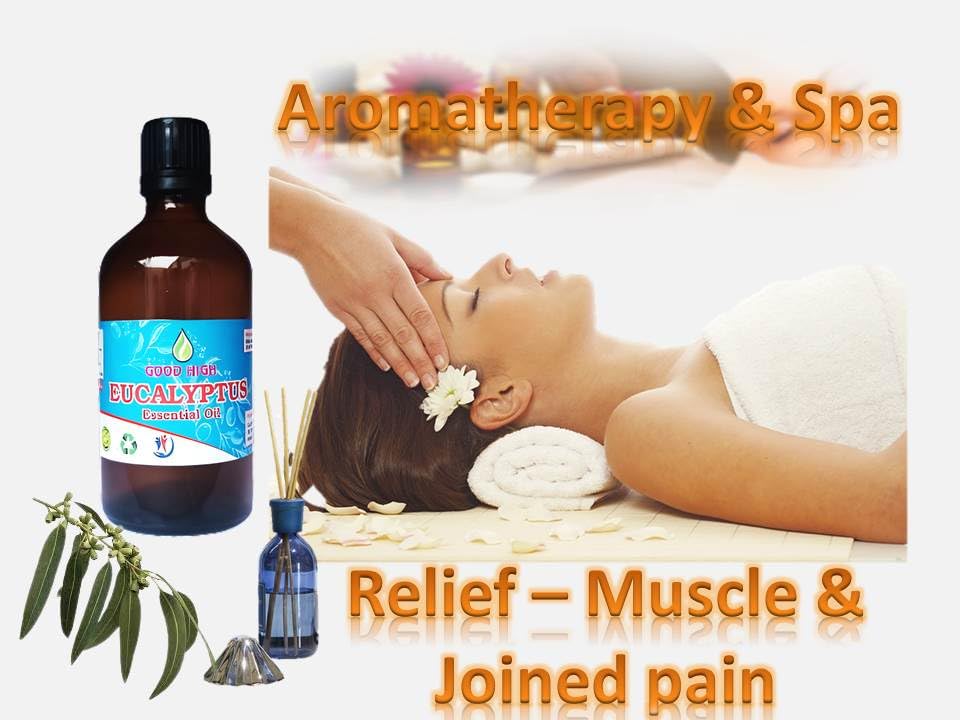100% Pure Natural Organic Eucalyptus Essential Oil - Undiluted & Therapeutic Grade for Aromatherapy, Massage & Skin Care - 50 mL Bottle for Relaxation & Wellness