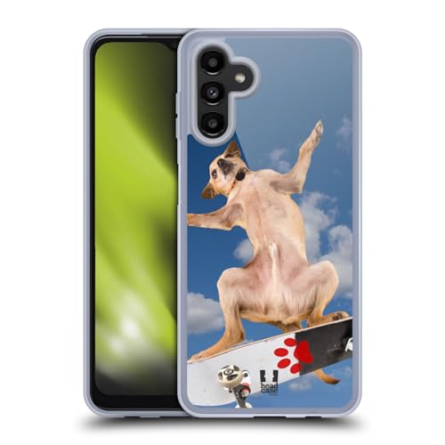 Cool Chihuahua Skater