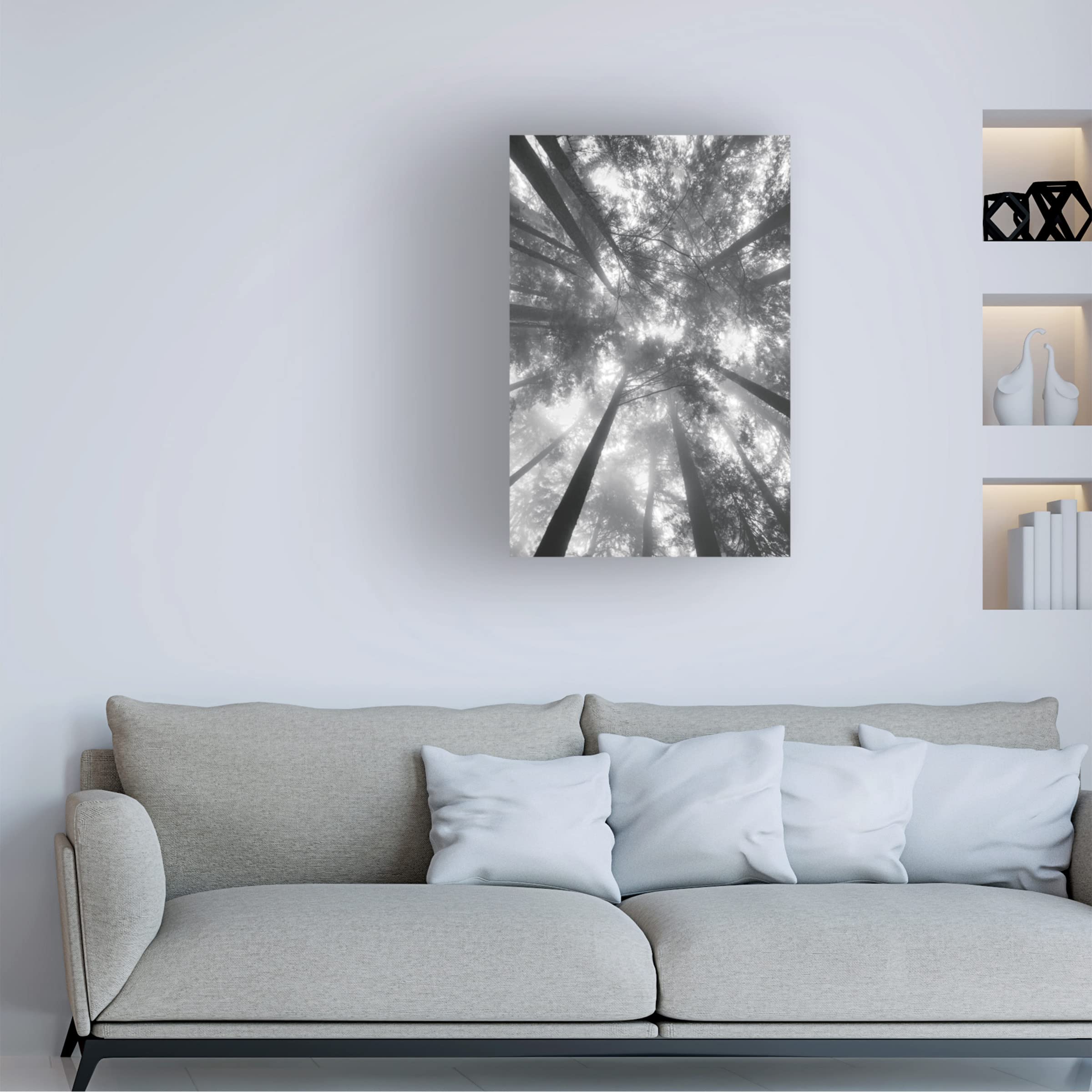 Alan Majchrowicz 'Fir Trees I BW' Black & White Landscape Canvas Wall Art - Perfect for Living Room, Bedroom & Office Decor