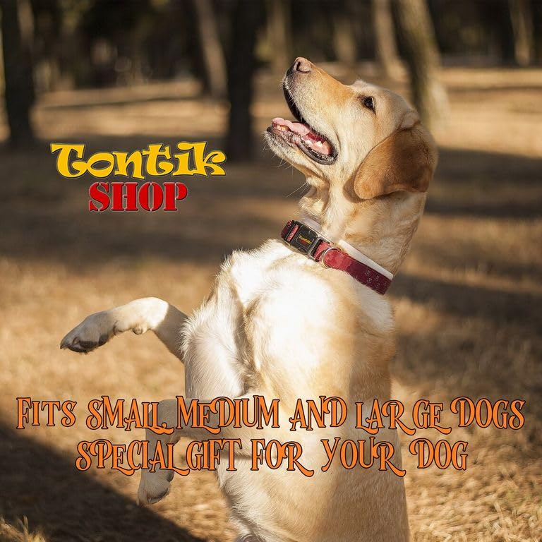 Handmade Orange Zebra Pattern Dog Collar - Durable Woven Fabric Pet Collar for Small, Medium & Large Dogs - Adjustable with D-Ring - Perfect for Walks, Training & Fashion - Tontik Shop