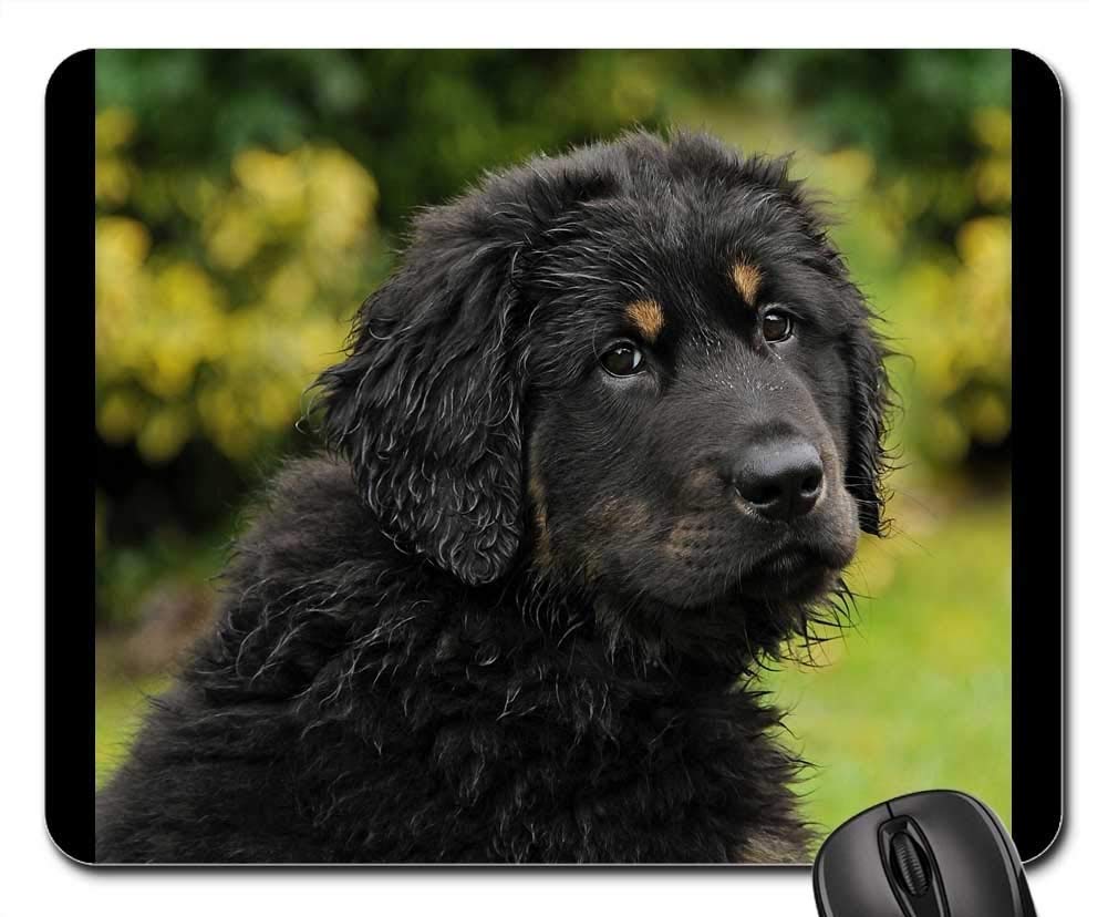 Premium Gaming Mouse Pad - Non-Slip Large Mouse Mat with AKBASH Dog Herd Protection Puppy Design for PC, Laptop, Office & Esports Gaming Setup