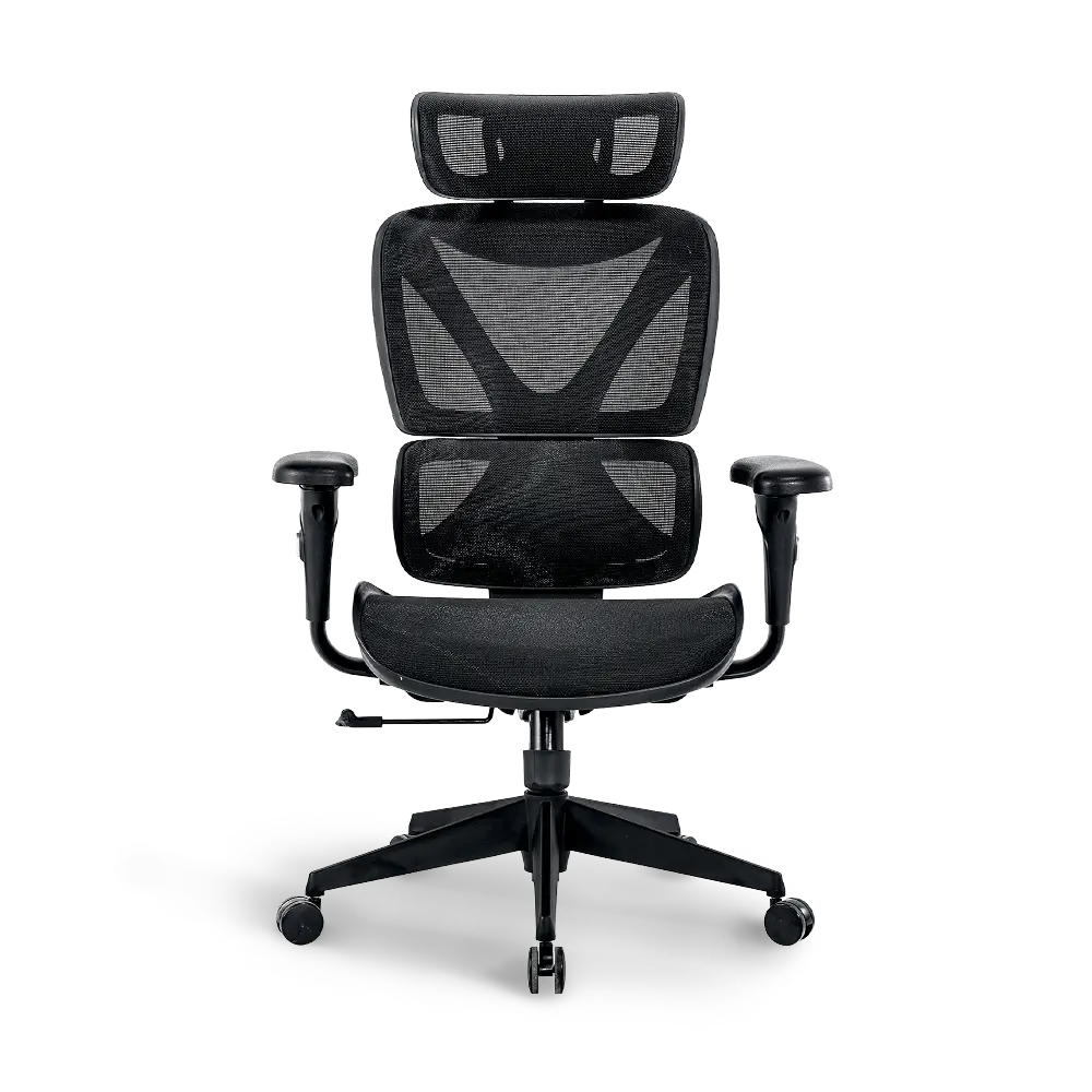 Ergonomic Office Chair with Lumbar Support - Adjustable Height & Swivel - Bea Comfortable Desk Chair for Home & Office Use - Perfect for Long Hours of Work or Gaming Sessions