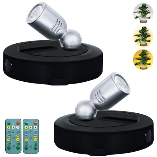 Black-Silver-3CCT