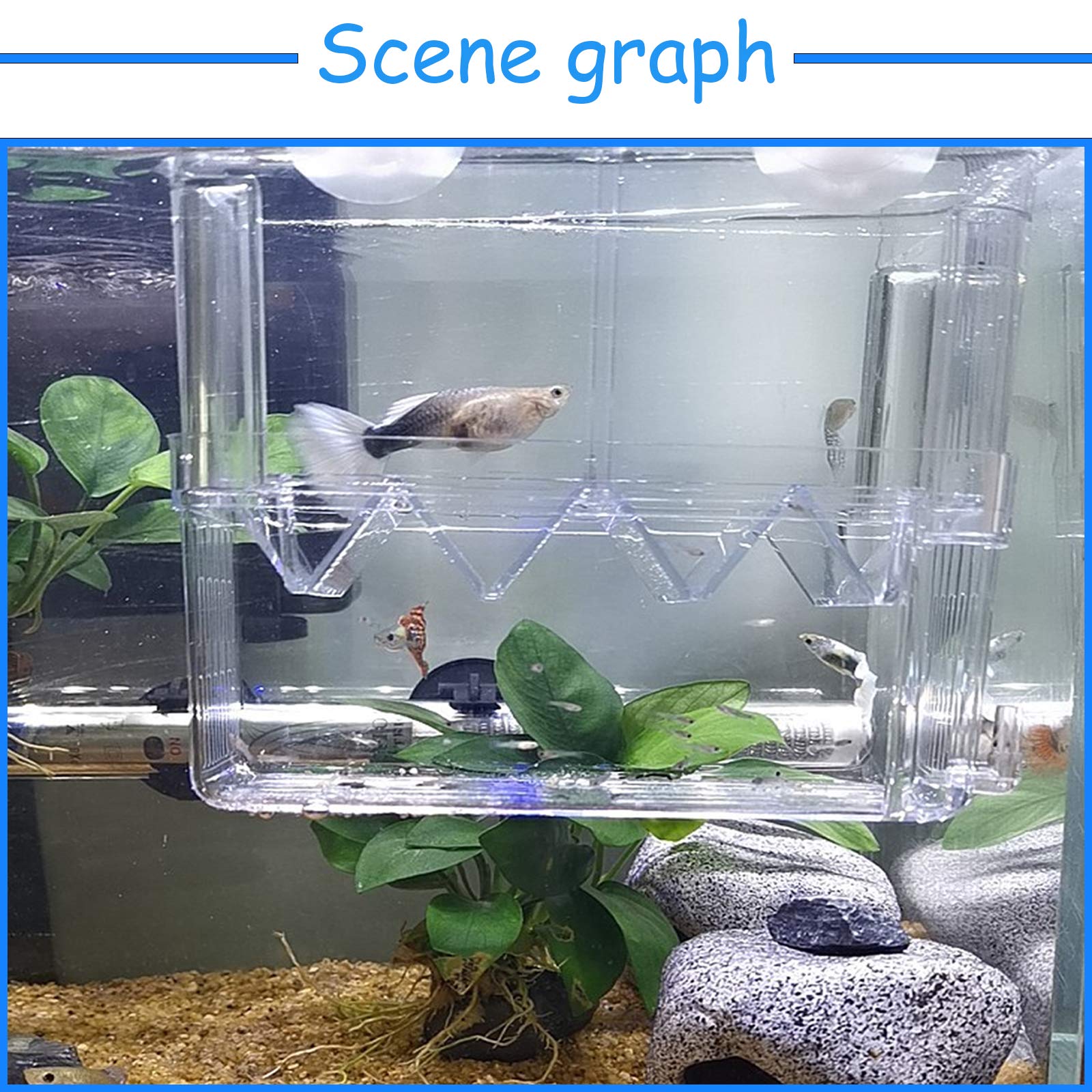 Acrylic Fish Breeding Box with Suction Cups - Aquarium Hatchery Incubator & Breeder Isolation Divider for Guppies, Betta, Shrimp - Perfect for Fish Tank Hatching and Fry Protection