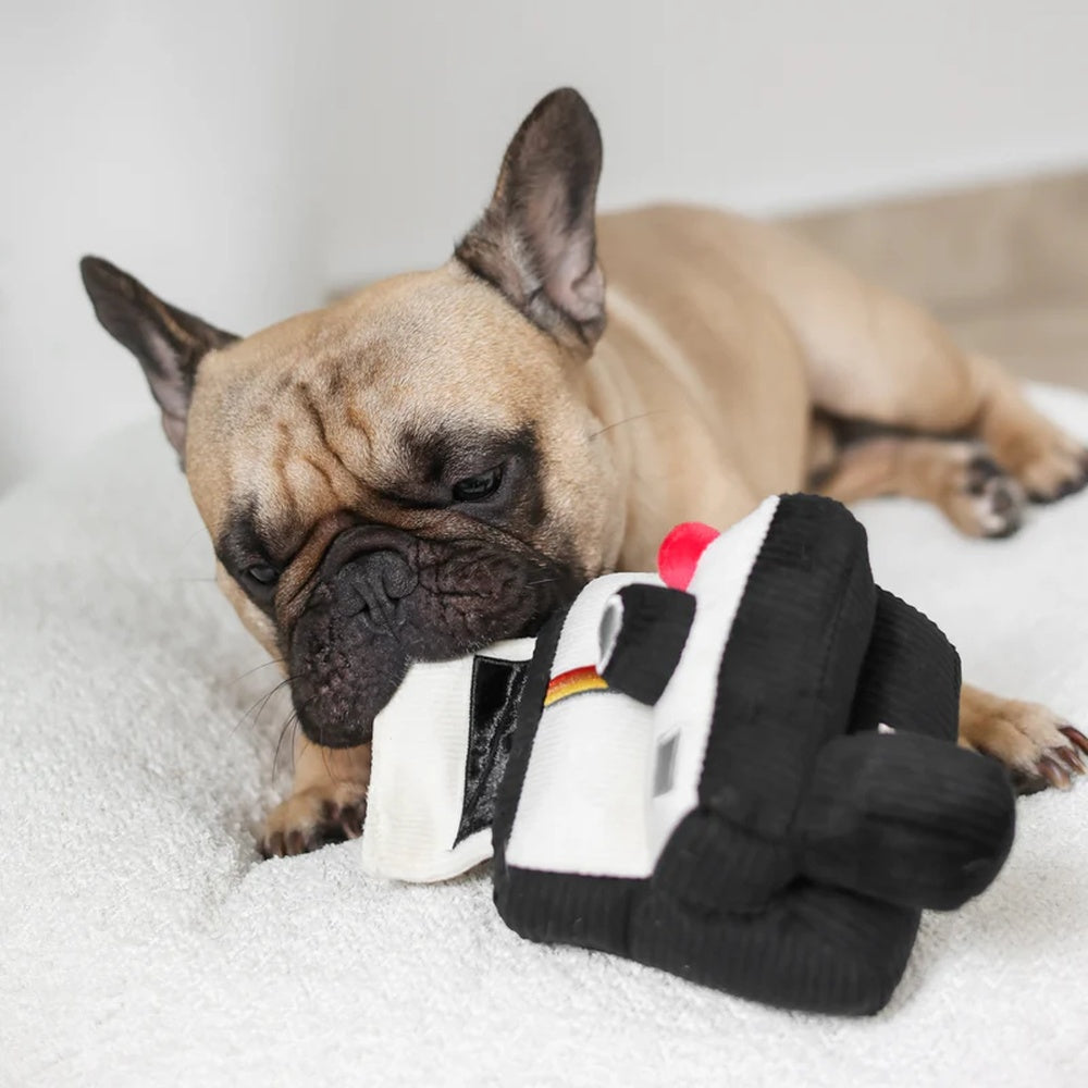 Snuffle & Squeaky Dog Chew Toy - Interactive Plush Instant Camera Shaped Puppy Toy for Small & Medium Dogs - Perfect for Playtime, Training & Anxiety Relief