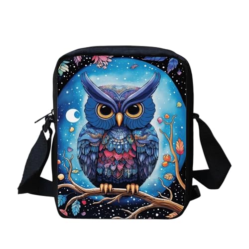 Cute Owl
