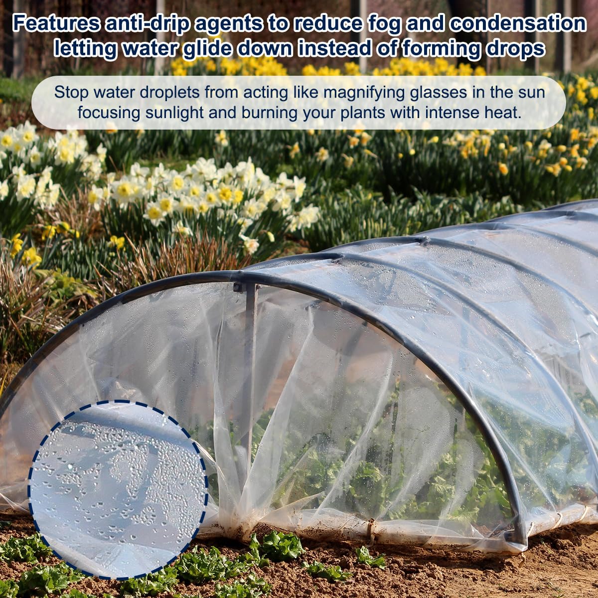 6 mil Greenhouse Plastic Sheeting 32x40 FT - Clear Durable UV Resistant Polyethylene Film for Gardening, Farming, Nursery & Poultry Coop - Perfect for Plant Protection, Season Extension & DIY Greenhouse Covers