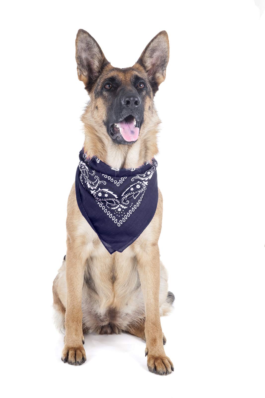 5 Pack Paisley Print Polyester Dog Bandanas - Oversized Triangle Pet Bandana for Large Dogs (Blue) - Perfect for Grooming, Photos & Special Occasions