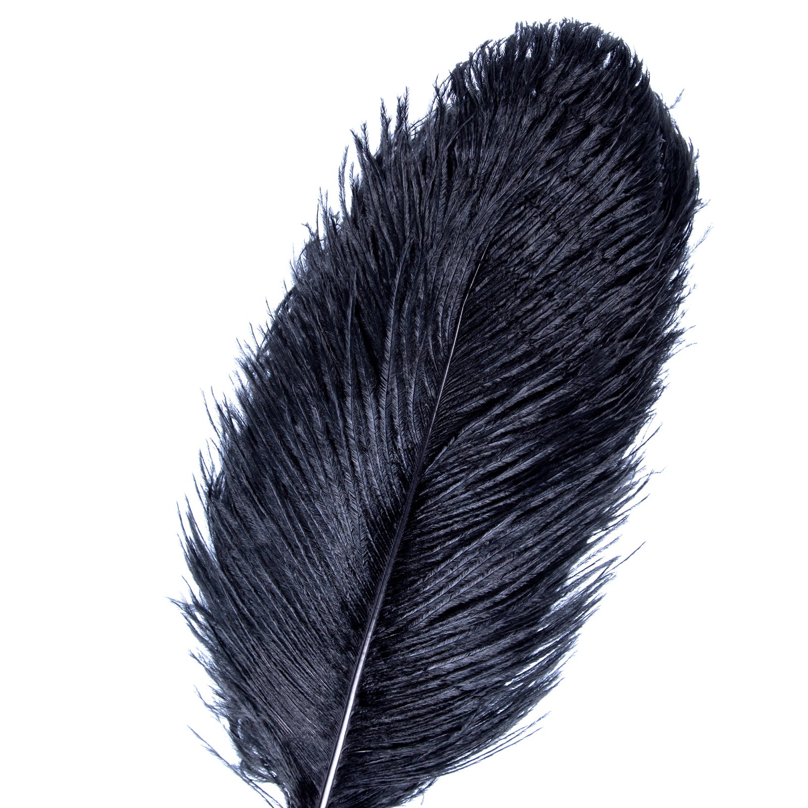 Natural Ostrich Feathers 18-20 inch (45-50cm) - 10pcs Black Premium Feathers for Wedding Centerpieces, Home Decor, Flower Arrangements, DIY Crafts & Christmas Decorations - Perfect for Bouquets, Table Settings, and Party Decor
