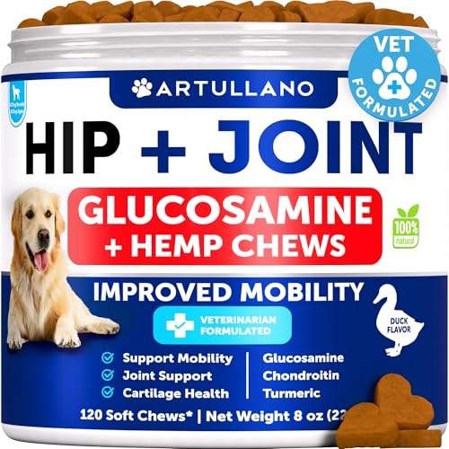 Hip & Joint Hemp Chews