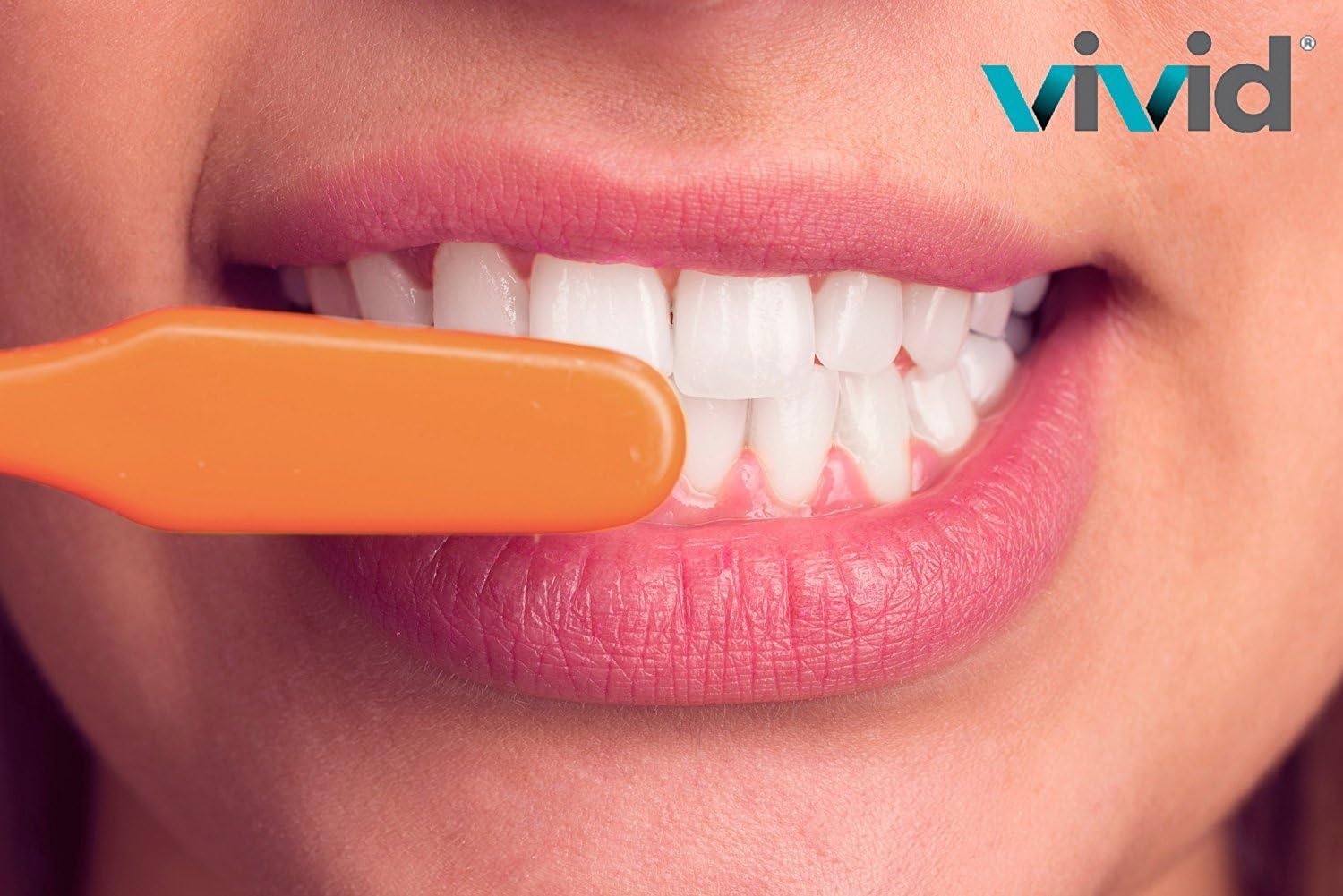 Vivid UniBrush I - 10 Pack Corded Electric Toothbrushes for Adults - Perfect for Home, Travel & Daily Oral Care