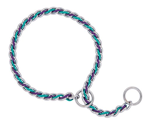 Teal/Purple