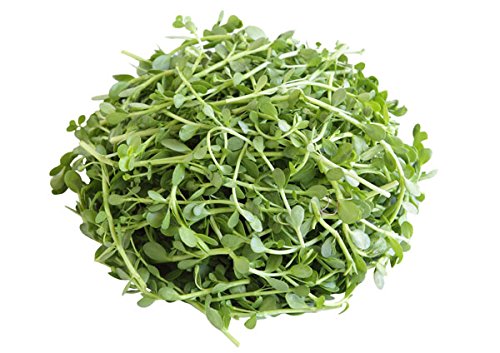 Organic Brahmi Powder for Hair Growth & Scalp Treatment - 100g | Ayurvedic Herbal Remedy for Dandruff, Hair Loss & Thinning | Promotes Healthy Hair & Scalp Care - Perfect for DIY Hair Masks & Natural Hair Treatments