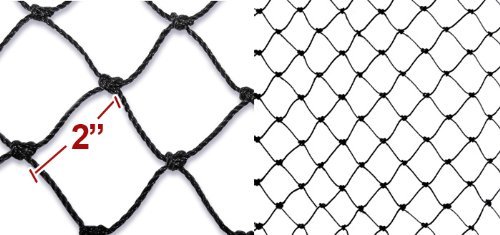 50' x 50' 2-Inch Square Mesh Heavy Duty Bird Netting - Poultry Aviary, Game Pens & Garden Protection - Durable Anti-Bird Net for Chicken Coops, Fruit Trees & Backyard Security