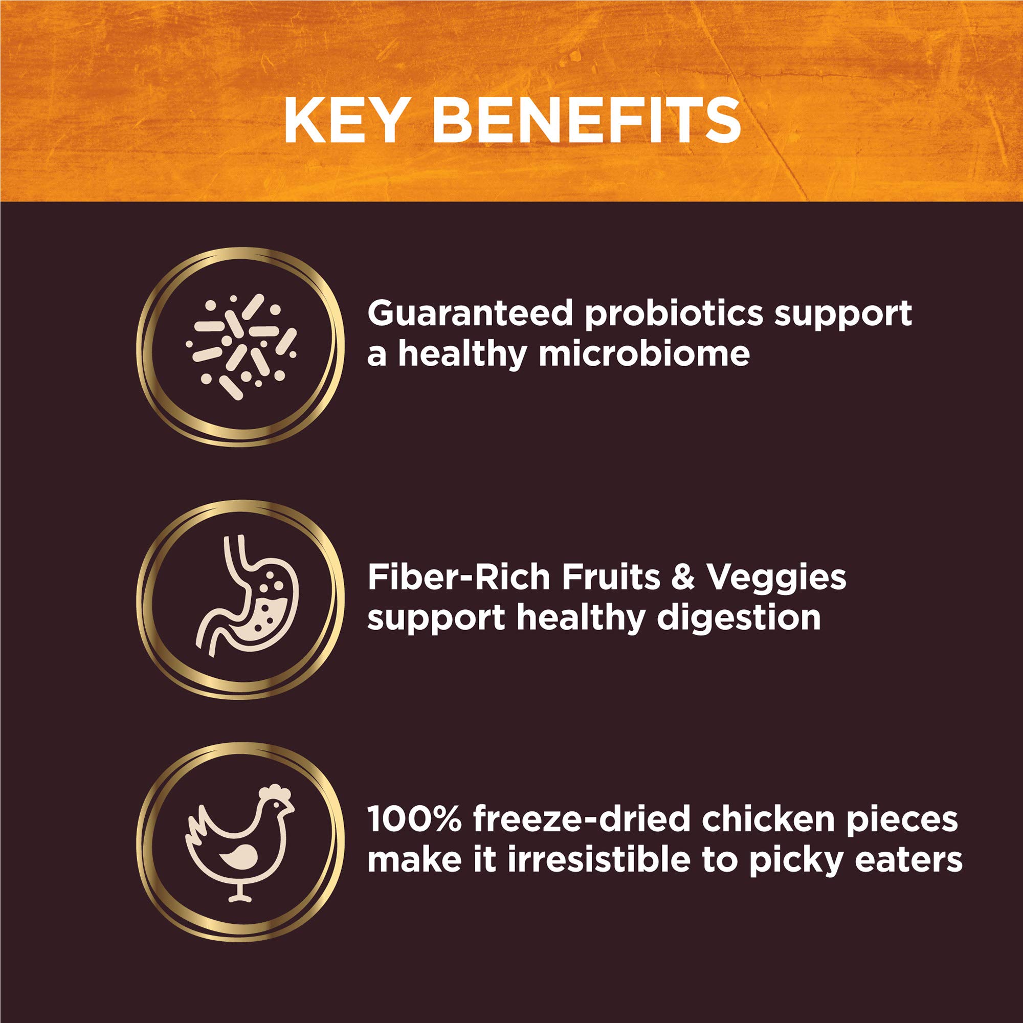 Wellness CORE Digestive Health Dry Dog Food with Wholesome Grains - Chicken & Brown Rice Recipe for Adult Dogs - 24lb Bag + CORE Bowl Boosters Topper | Supports Gut Health & Easy Digestion | Ideal for Sensitive Stomachs & Daily Meals