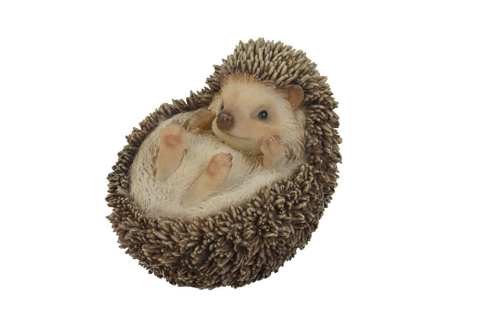 Hi-Line Gift Ltd Hedgehog on Back Statue - Cute Garden Decor, Unique Home & Office Decoration, Perfect Gift for Animal Lovers