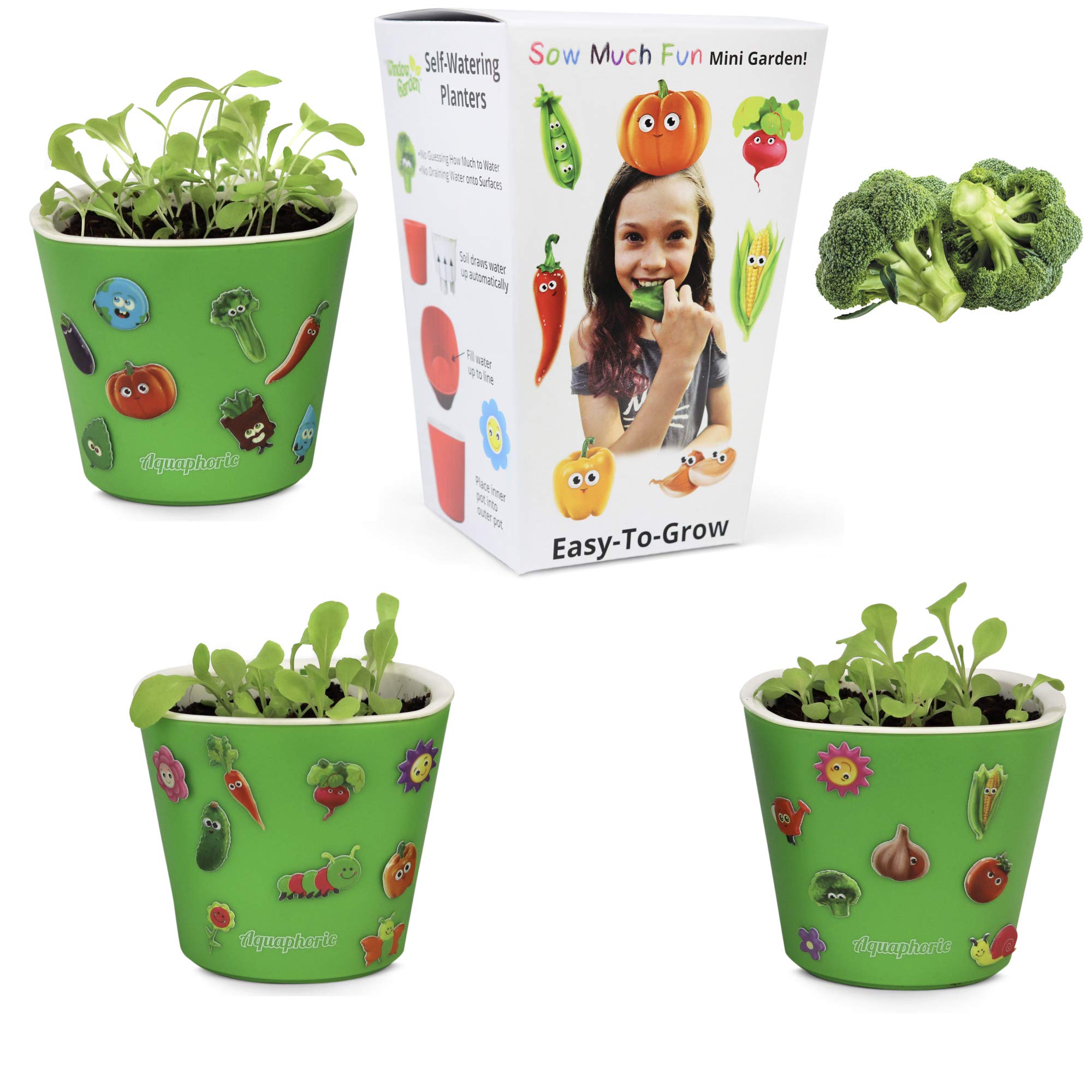 Window Garden Sow Much Fun Kids Seed Starting Kit - 3 Self-Watering Planters with Soil, Broccoli Seeds & Puffy Stickers | Easy No-Mess Vegetable Growing Kit for Children | Perfect for Indoor Gardening, STEM Learning & Family Bonding Activities