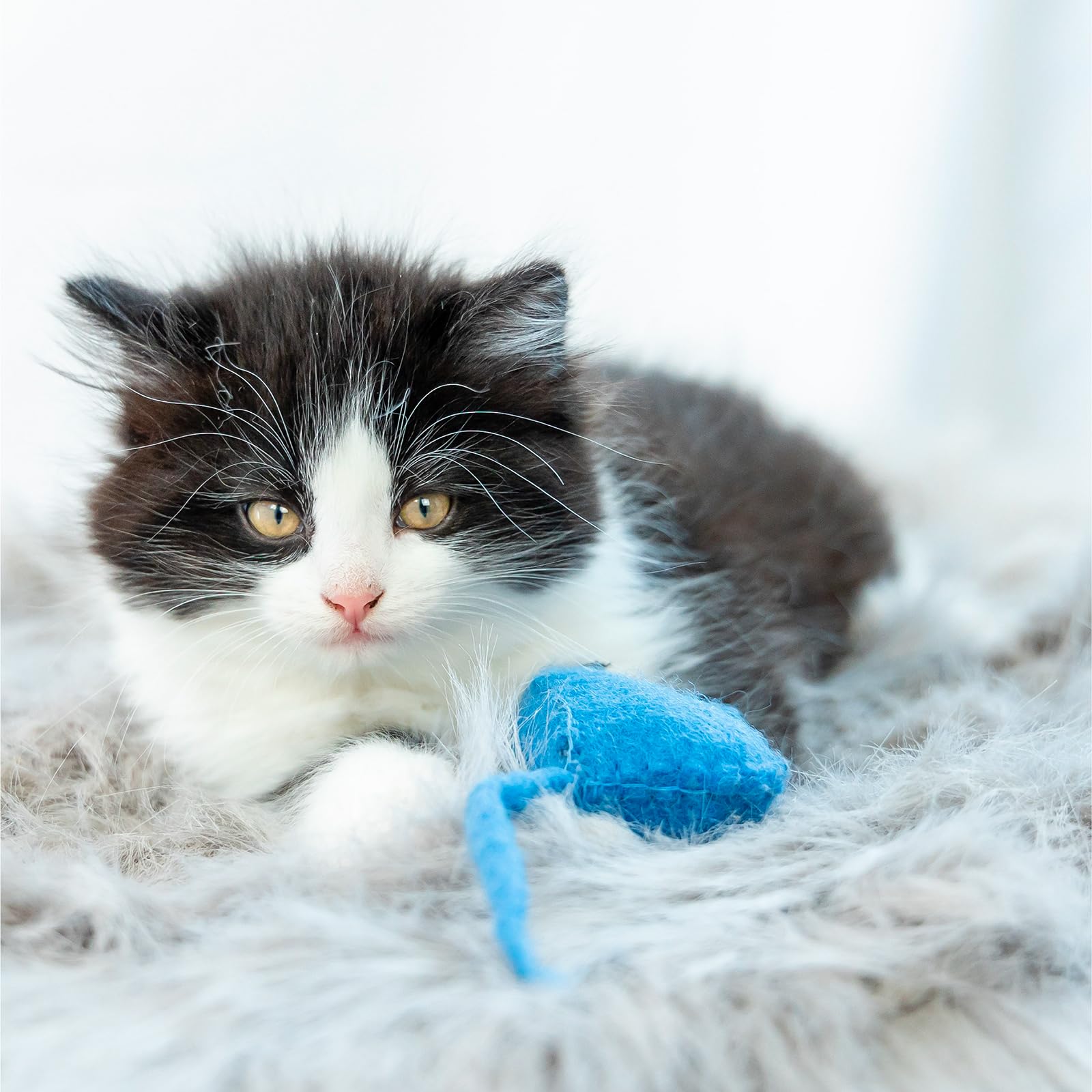 Eco Pouncer Natural Cat Toy - Safe & Sustainable Wool Cat Teaser for Interactive or Solo Play | Non-Toxic, Chemical-Free Pet Accessories | Perfect for Indoor Cats, Kittens, and Playtime Enrichment