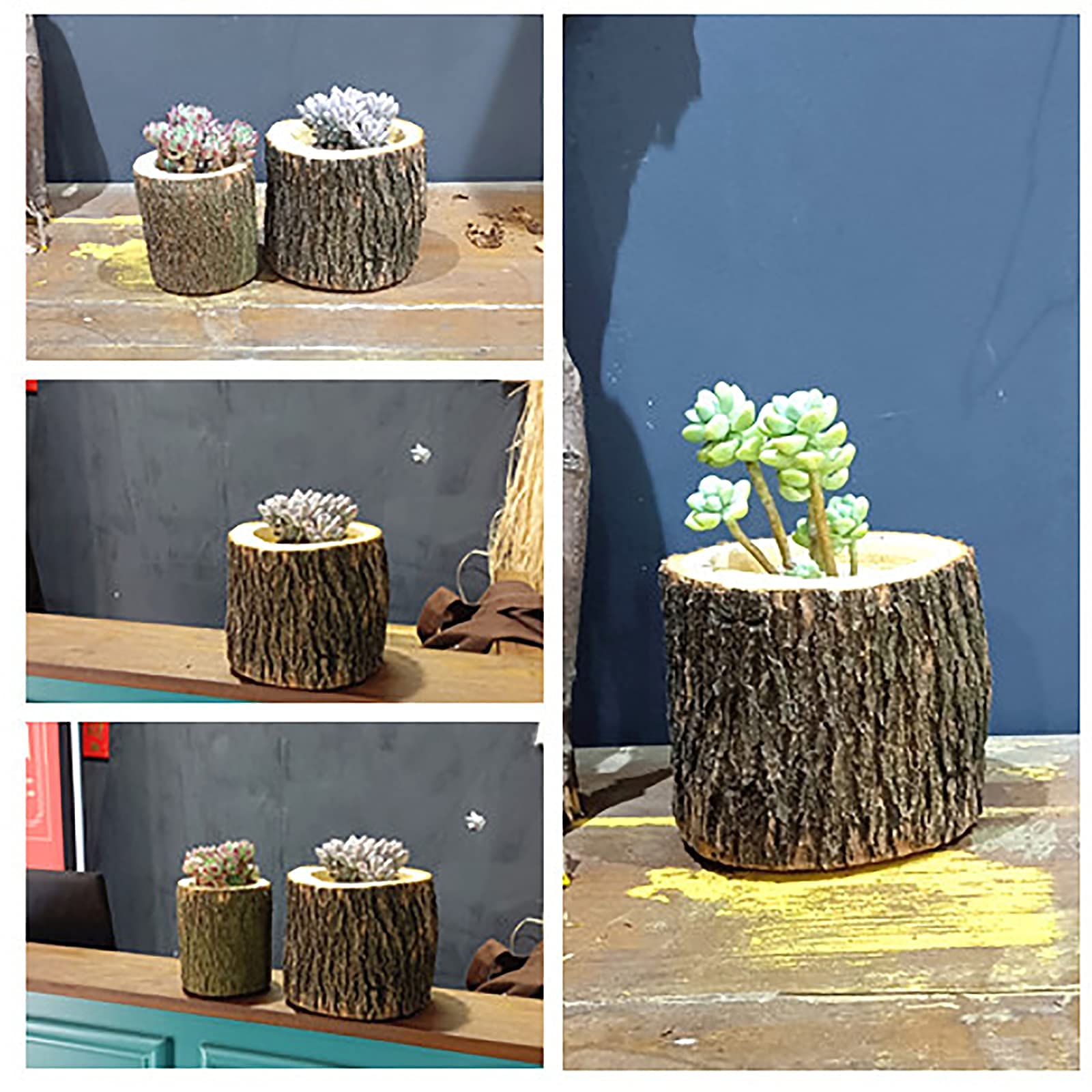 Camphor Wood Vertical Log Planter - Small Rustic Succulent & Flower Pot for Indoor/Outdoor Garden Decor (7x5 inch) - Perfect for Windowsills, Balconies & Patio Plant Displays