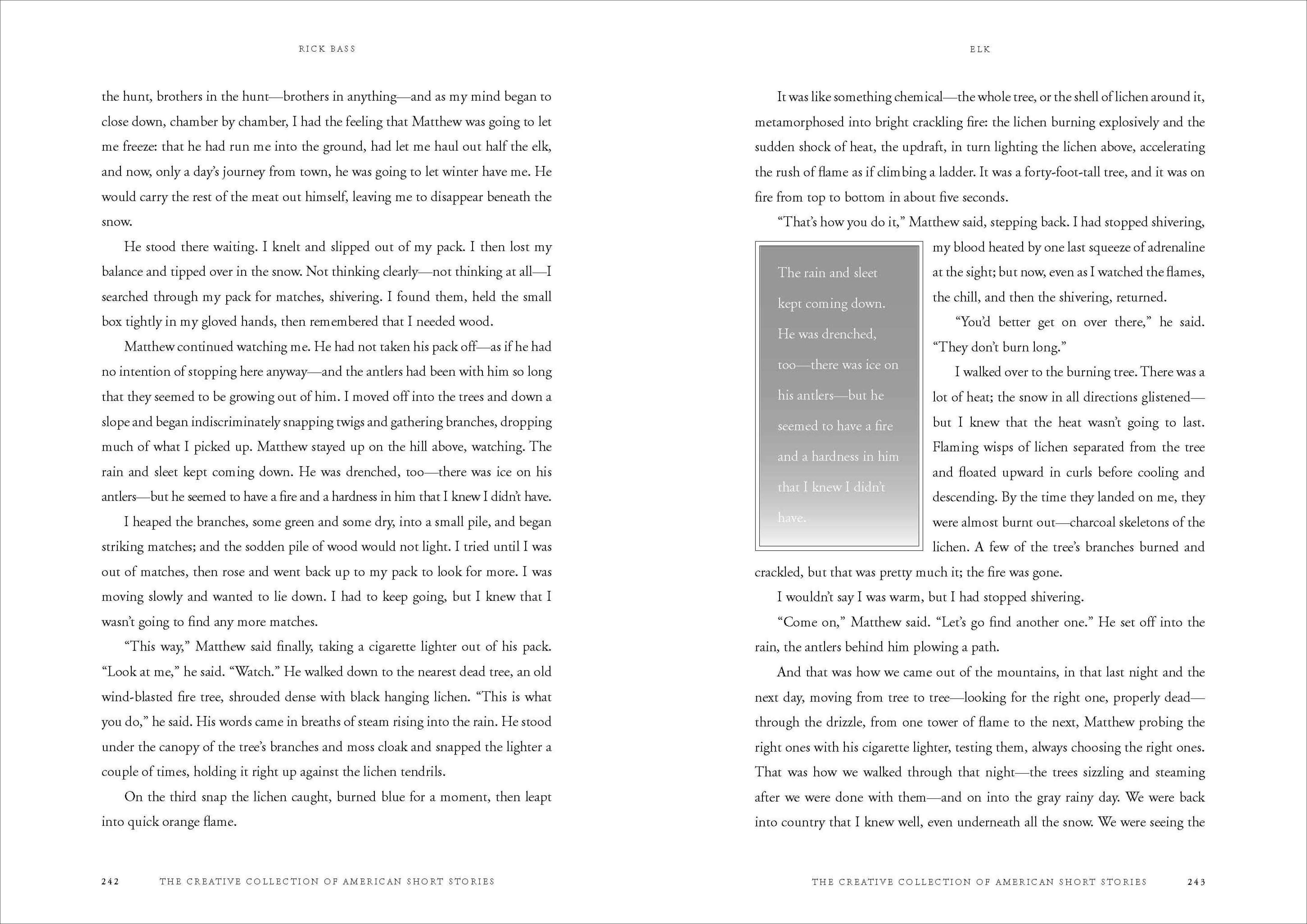 Best American Short Stories Collection - Classic & Modern Literary Fiction for Book Lovers - Perfect for Reading, Book Clubs & Gifts