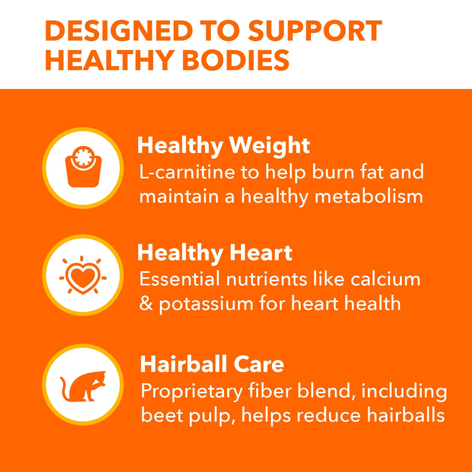 IAMS Proactive Health Healthy Adult Dry Cat Food with Chicken - 7 lb Bag | High Protein Cat Kibble for Indoor & Outdoor Cats | Supports Immune System & Digestive Health