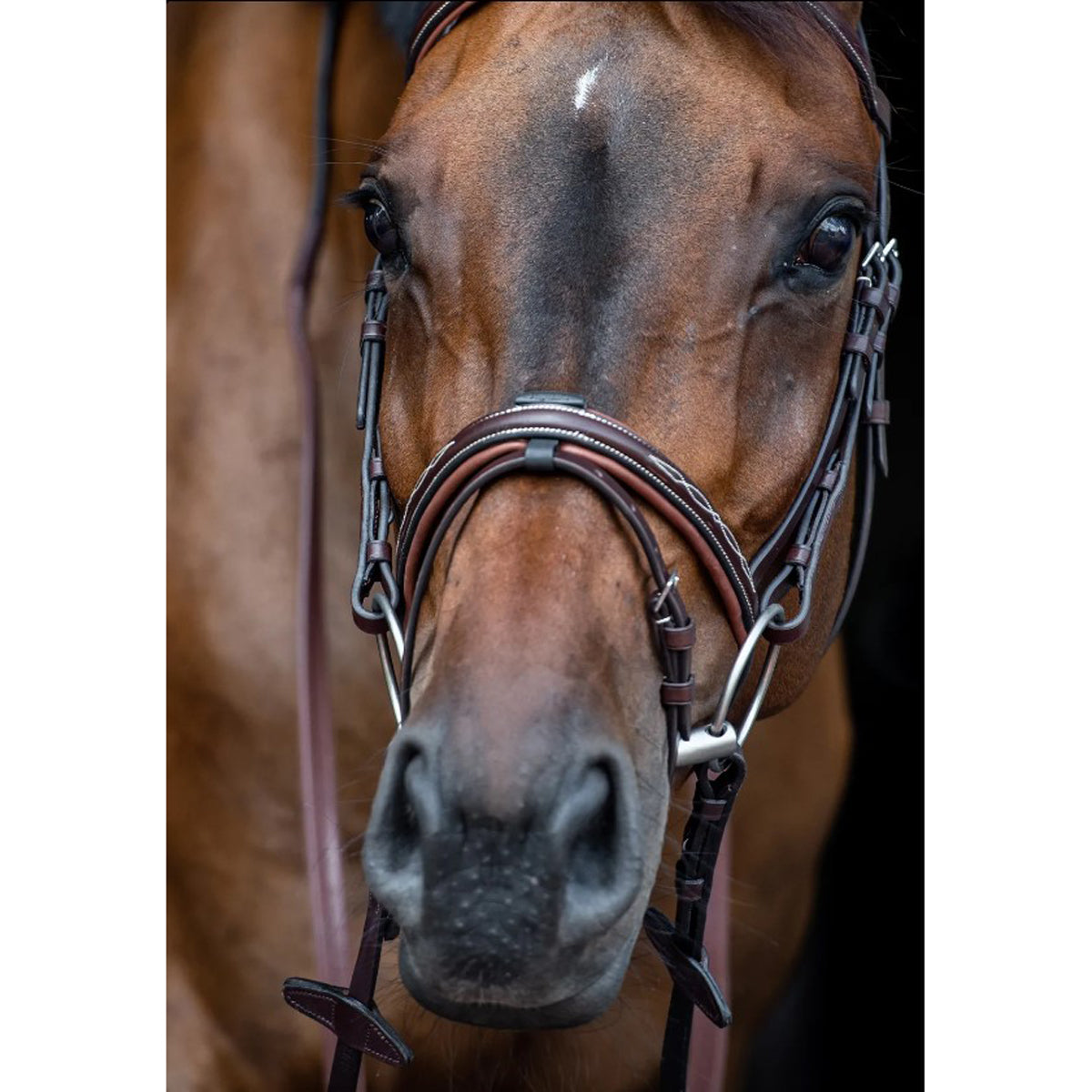 Equiline Fancy Stitched Noseband for Horses - Premium Leather Equestrian Noseband for Dressage, Jumping & Show Riding - Comfortable & Durable Horse Riding Equipment