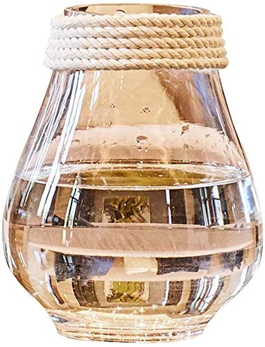Clear Glass Flower Vase - Modern Minimalist Design for Fresh/Dry Flowers, Hydroponics & Home Decor - Perfect for Tabletop Display in Living Room, Office, Wedding Centerpiece & Party Decorations