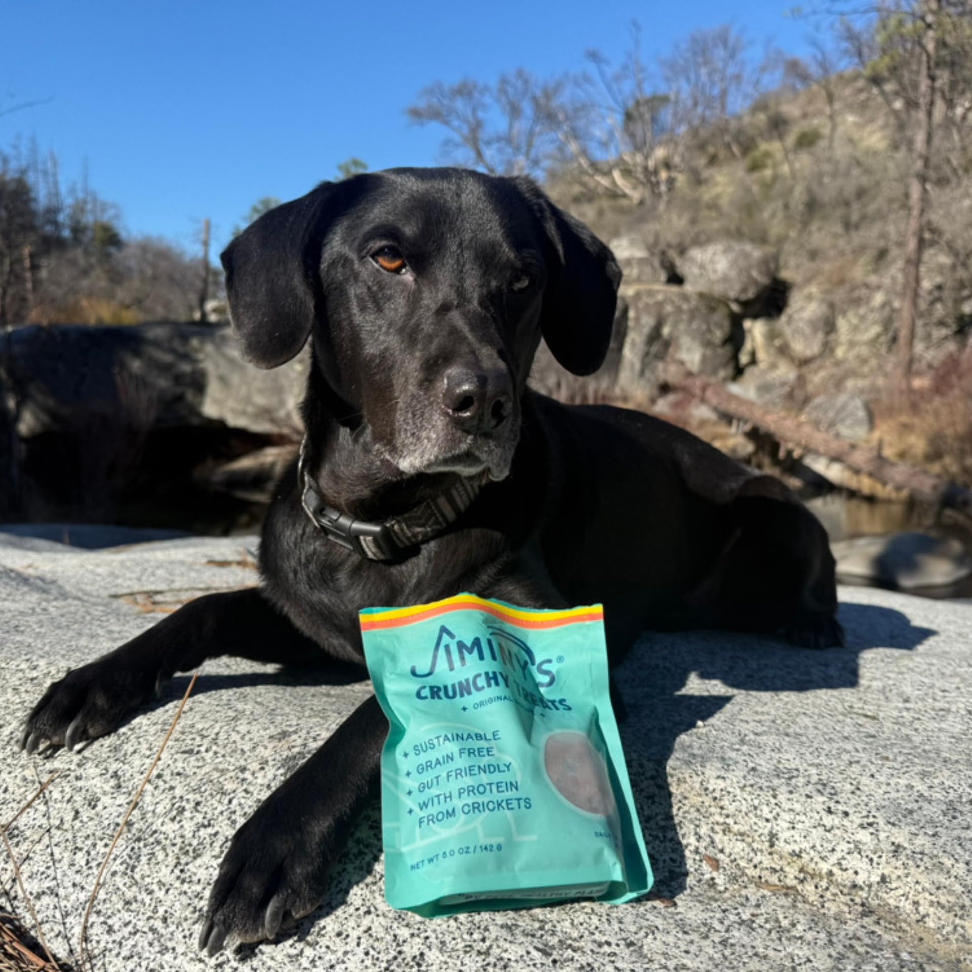 Jiminy's Crunchy Original Peanut Butter & Pumpkin Dog Treats - Hypoallergenic, Prebiotic, Tummy Friendly, Low Calorie, Cricket Protein Snacks for Dogs - Sustainable & Healthy 5oz Pack - Perfect for Training, Rewards & Sensitive Stomachs