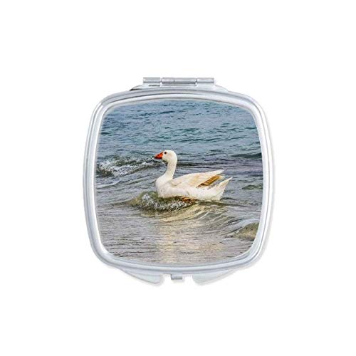 DIYthinker Ocean Water Goose Science Nature Picture Mirror - Portable Compact Pocket Makeup Mirror with Double Sided Glass for Travel, Home & Office Use