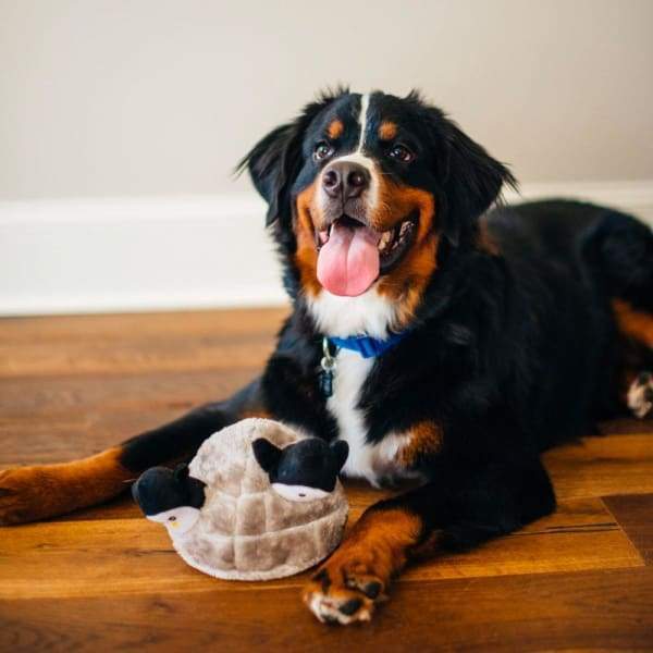 ZippyPaws Burrow Penguin Cave Dog Toy - Interactive Plush Hide & Seek Toy for Small & Medium Dogs - Perfect for Indoor Play, Training & Bonding Time