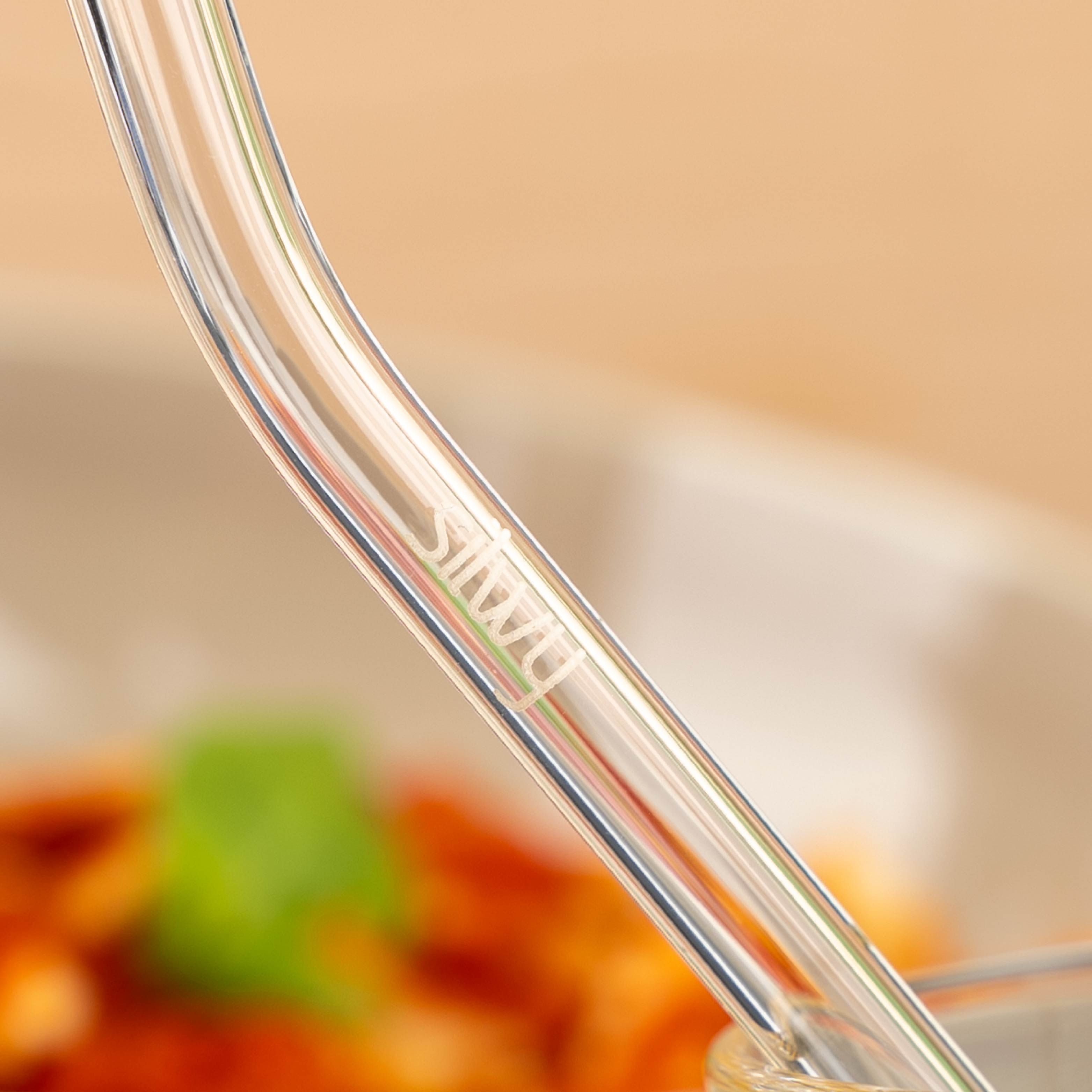 Silwy Stainless Steel Straw Set - Reusable Metal Drinking Straws for Smoothies, Iced Coffee & Cocktails - Perfect for Home, Office & Travel