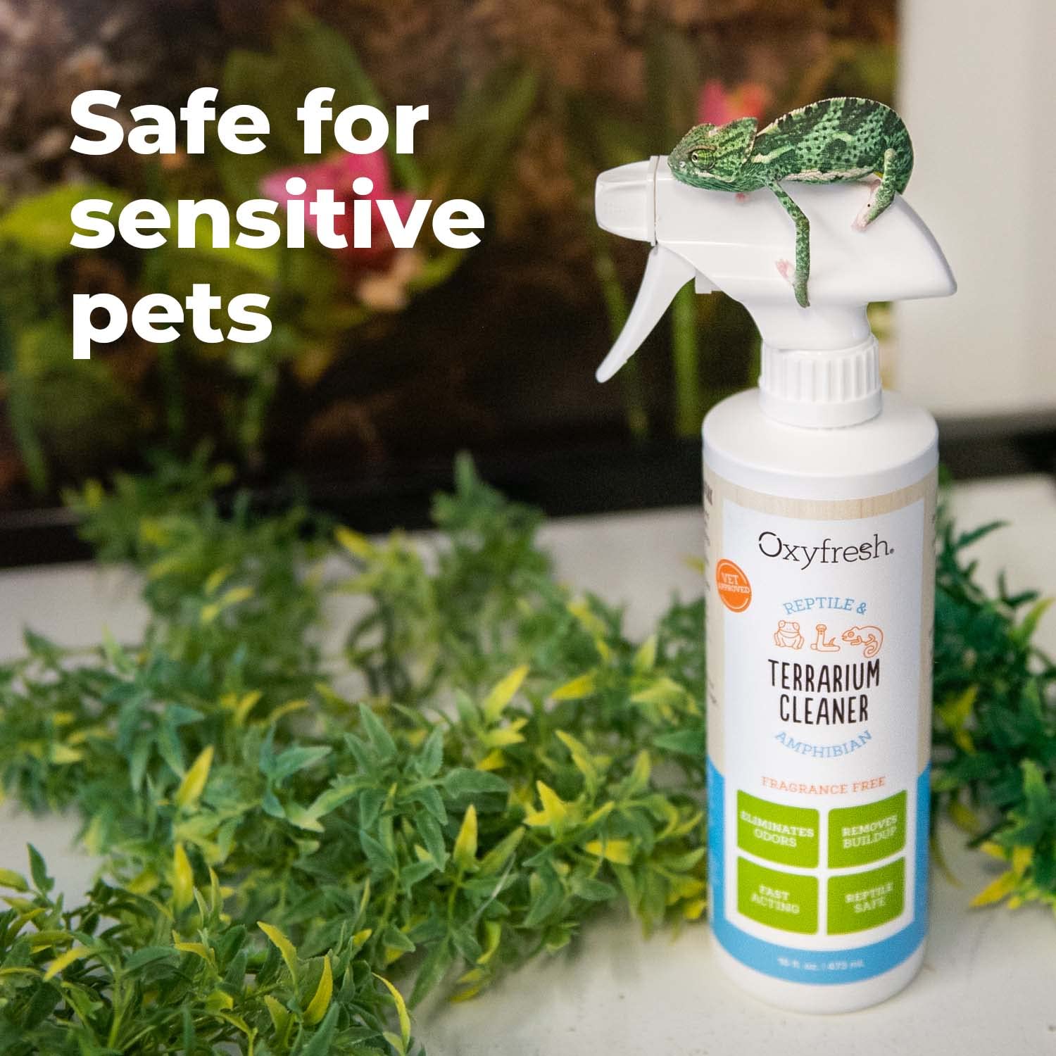 Oxyfresh Premium Terrarium Cleaner for Reptiles & Amphibians | Safe, Fast-Acting Odor & Waste Remover | Streak-Free Glass Cleaner | Non-Toxic, Bleach-Free Formula | Ideal for Terrarium, Vivarium & Pet Habitat Maintenance