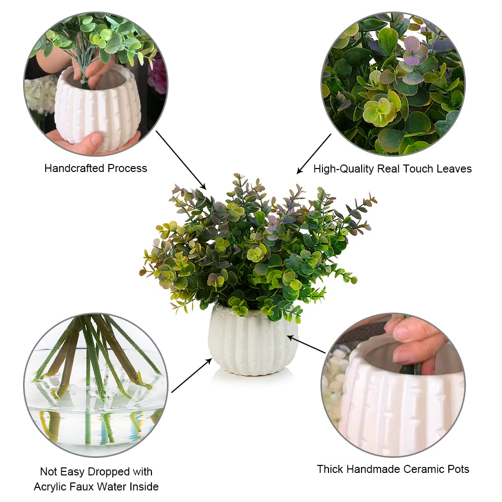 ENOVA FLORAL Artificial Eucalyptus Plants in White Ceramic Pots - Small Fake Potted Plants for Home, Office & Wedding Decor - Perfect for Table Centerpieces, Shelf Decor & Indoor Greenery