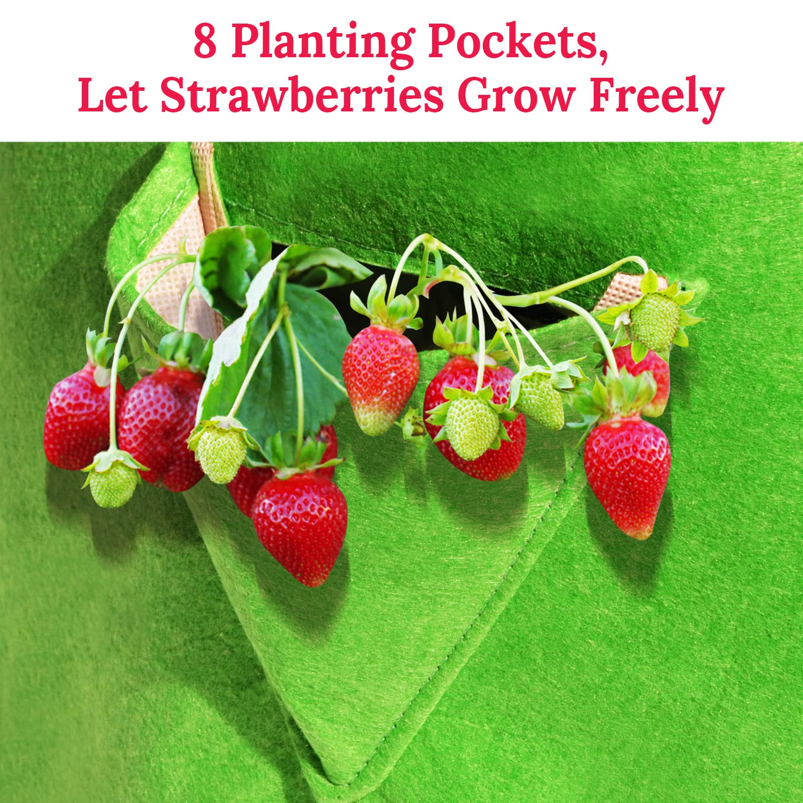 YardGrow 10 Gallon Strawberry Planter Bags - Large Breathable Non-Woven Fabric Grow Bags with Handles for Fruits, Vegetables, Flowers (5 Pack) - Perfect for Patio, Balcony & Home Gardening