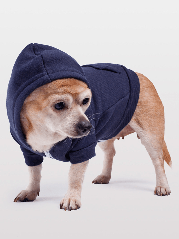 Blue Dog Hoodie - Soft & Comfortable Pet Hooded Sweater for Small & Medium Dogs - Perfect for Winter Walks & Outdoor Adventures