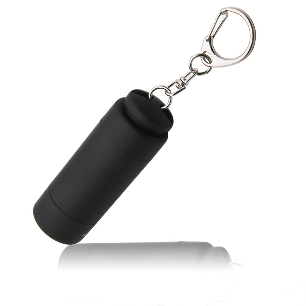 USB Rechargeable UV Flashlight Keychain - Black Light Detector for Ink, Pet Urine Stains, Bed Bugs | Portable Keyring Light for Home Inspection, Hotel Cleaning, Pet Care & Emergency Use (Black/Purple Light)