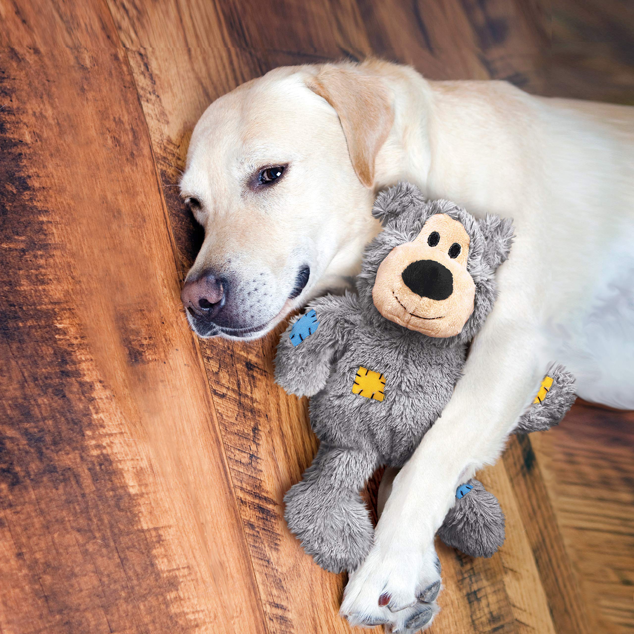 KONG Wild Knots Bear Dog Toy - X-Small Chew Toy for Small Dogs, Durable & Interactive Pet Toy for Puppies - Perfect for Indoor Play, Teething Relief, and Training Rewards