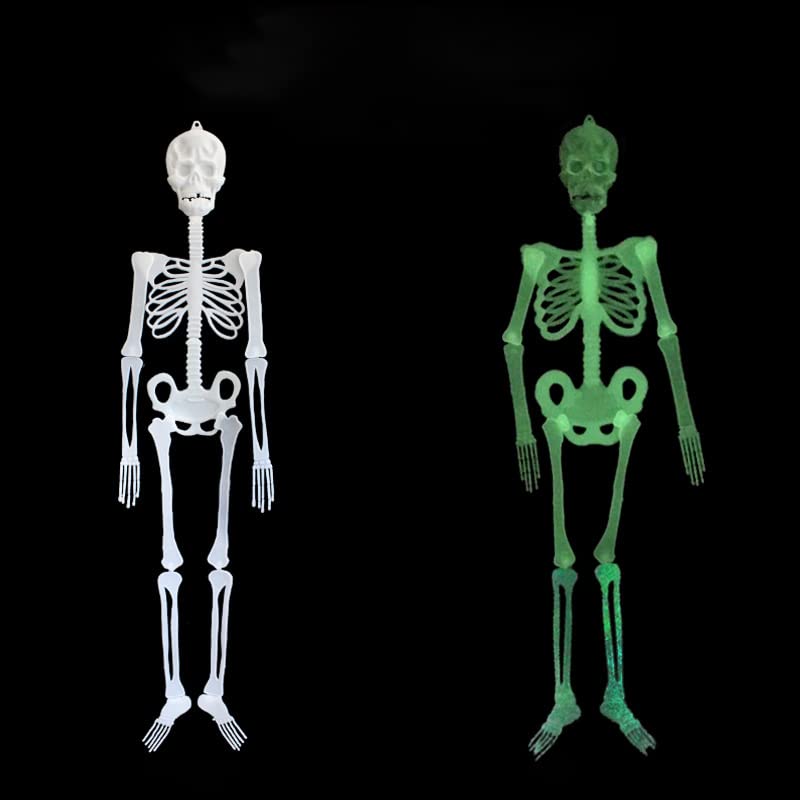 Glow in The Dark Halloween Skull Frame - Scary Luminous Skeleton Body for Indoor & Outdoor Decor - Perfect for Yard, Haunted House, and Party Halloween Decorations (4 Pack)
