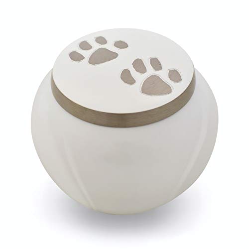 Cloud White, Pewter Paw