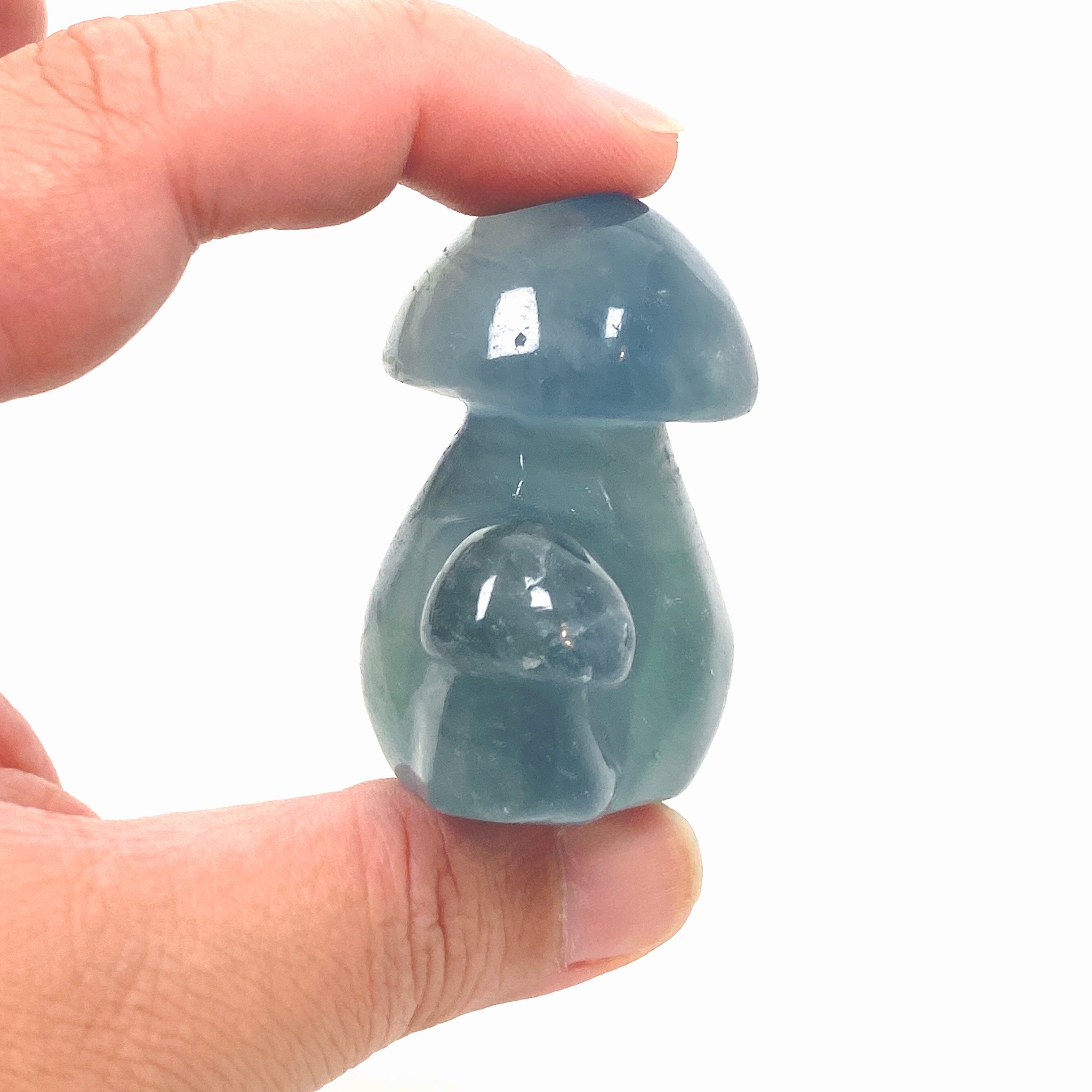 Natural Blue Fluorite Mushroom BFM 01 - Healing Crystal for Meditation, Home Decor & Spiritual Gifts