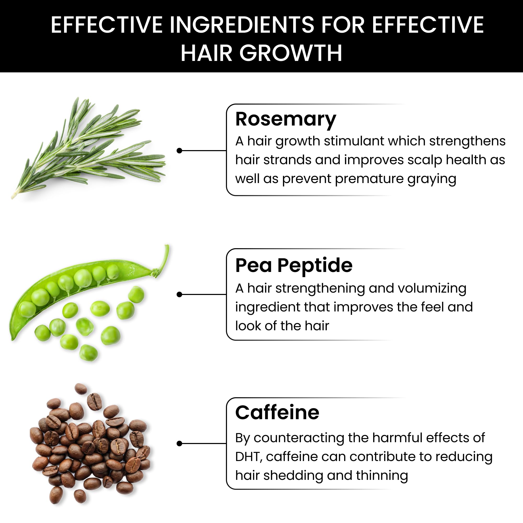 ThriveCo Rosemary Hair Conditioner for Voluminous Hair Growth | Pea Peptide & Caffeine Infused Treatment | Sulfate & Paraben Free | Strengthens & Densifies Hair | 250ml Bottle for Men & Women | Perfect for Daily Use & Hair Regrowth Routines