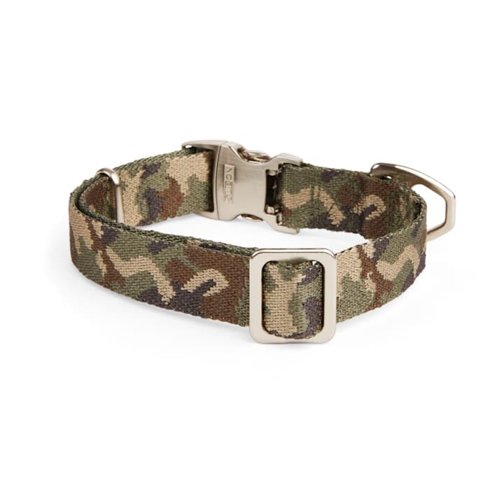 Reddy Camo Starter Set for Small Dogs - Waterproof & Durable Dog Hunting Gear for Outdoor Adventures