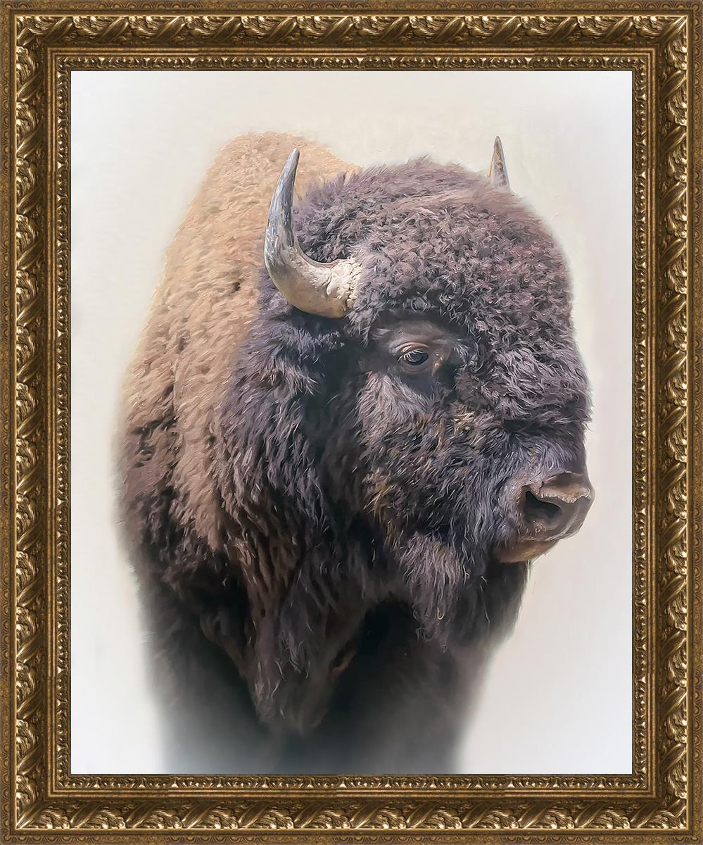 Bison By Matthew Grant | Premium Bison Meat & Jerky | High-Protein Snacks for Camping, Hiking & Outdoor Adventures
