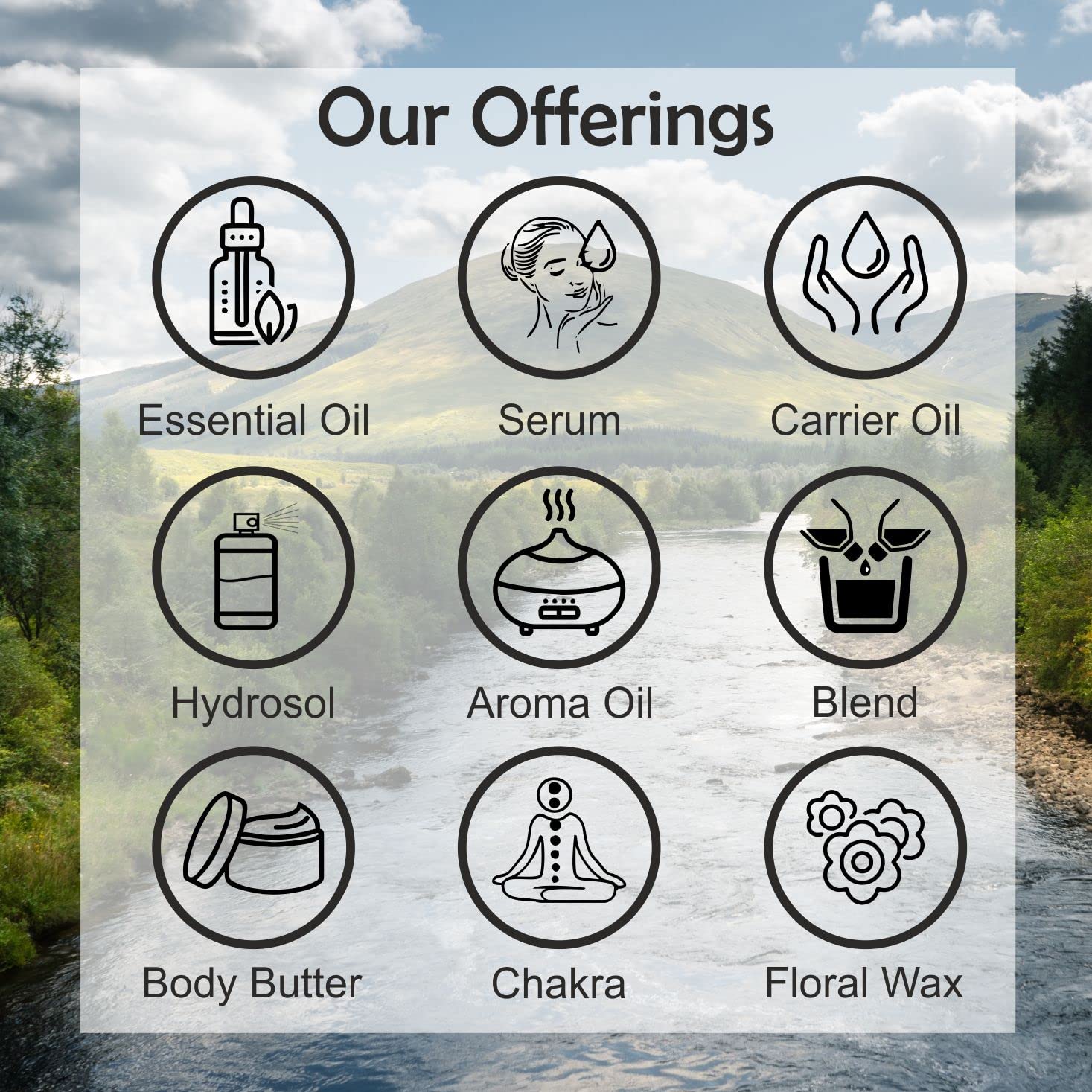Pure Green Tea Oil (Camellia sinensis) - 100% Natural, Therapeutic Grade, Cold Pressed, Fragrance-Free - 30ml - For Aromatherapy, Skin Care & Relaxation