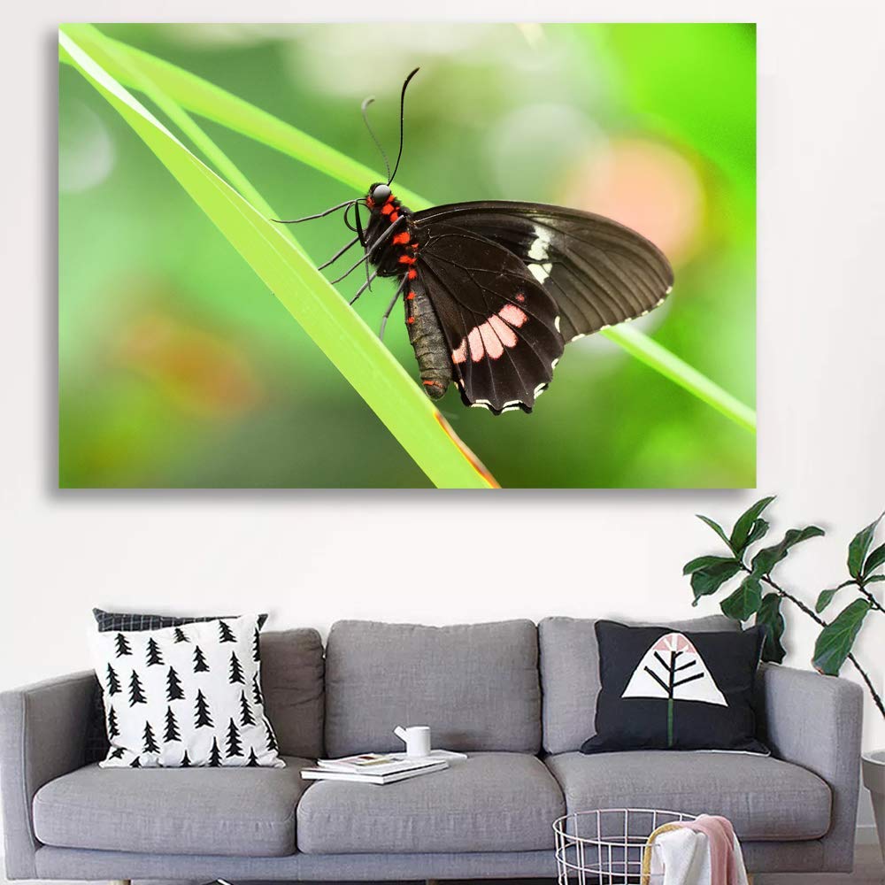 Wall26 Canvas Wall Art - Stunning Butterfly Giclee Painting for Bedroom, Living Room, and Home Decor - 32x48 Inches - Perfect for Modern, Bohemian, and Nature-Inspired Interiors
